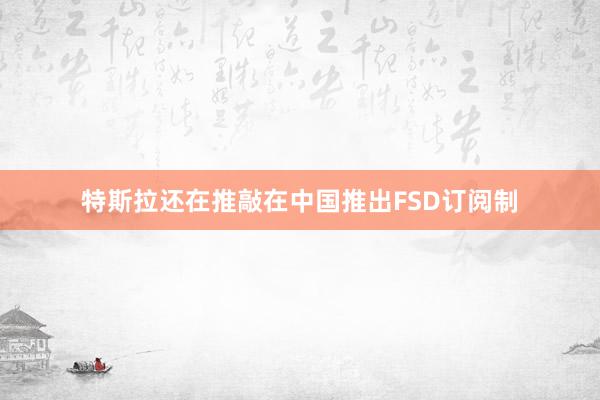 特斯拉还在推敲在中国推出FSD订阅制